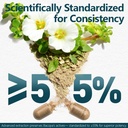 bacopa-monnieri-supplement-300mg-organic-4.jpg