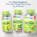 solaray-sarsaparilla-root-450-mg-traditi-6.jpg