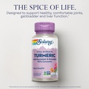 solaray-turmeric-supplement-with-bromela-3.jpg