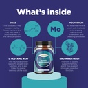 nootropic-brain-supplement-for-memory-an-5.jpg