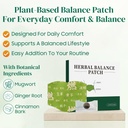 2-box-herbal-balance-patch-herbal-patch--4.jpg