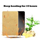 100pcs-mugwort-ginger-patch-for-pain-pur-3.jpg