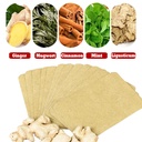 100pcs-mugwort-ginger-patch-for-pain-pur-2.jpg