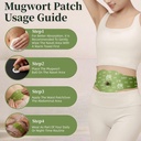 2-hanpo-japanese-herbal-balance-patch-pl-6.jpg