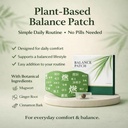 hanpo-japanese-herbal-balance-patch-plan-2.jpg