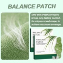 2-boxes-balance-patch-japanese-herbal-pa-2.jpg