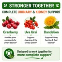 cranberry-extract-capsules-50-1-whole-fr-4.jpg