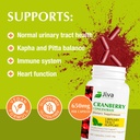 jiva-botanicals-concentrated-cranberry-s-2.jpg