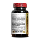 cranberry-extract-concentrated-capsules--3.jpg