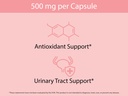 koyah-organic-cranberry-capsules-freeze--6.jpg