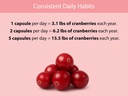 koyah-organic-cranberry-capsules-freeze--5.jpg