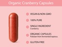 koyah-organic-cranberry-capsules-freeze--4.jpg
