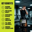nutrabio-extreme-mass-gainer-protein-pow-5.jpg