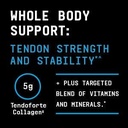 beyond-raw-dynamic-gainer-high-tech-mass-6.jpg