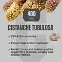 earth-elixir-cistanche-supplement-for-me-2.jpg