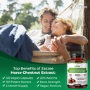 zazzee-extra-strength-horse-chestnut-10--3.jpg