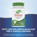 nature-s-way-melissa-lemon-balm-leaf-tra-4.jpg
