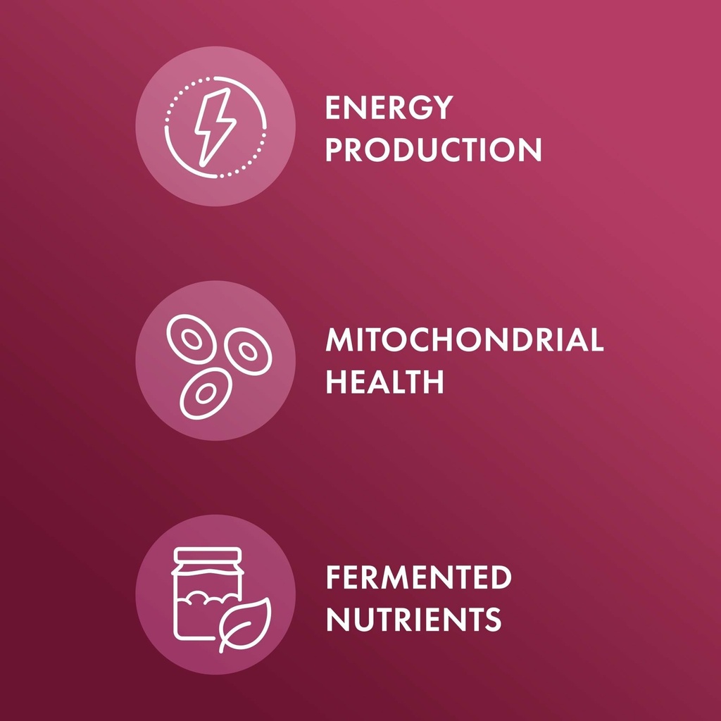 dr-mercola-organic-fermented-beets-nitri-4.jpg