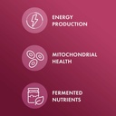 dr-mercola-organic-fermented-beets-nitri-4.jpg