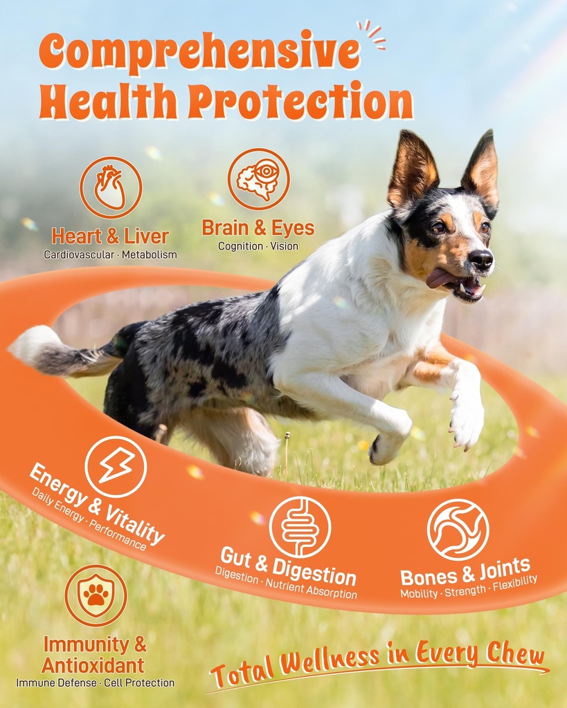 24-in-1-multivitamin-dog-supplement-300--3.jpg