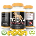 troya-supplement-saw-palmetto-zinc-sting-5.jpg
