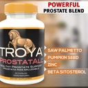 troya-supplement-saw-palmetto-zinc-sting-2.jpg