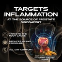 iron-brothers-prostate-support-for-men-s-5.jpg
