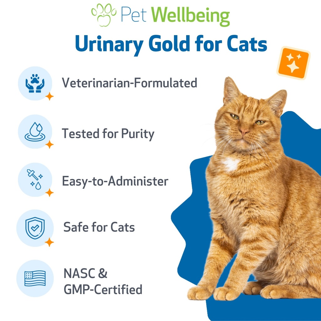pet-wellbeing-urinary-gold-for-cats-vet--6.jpg