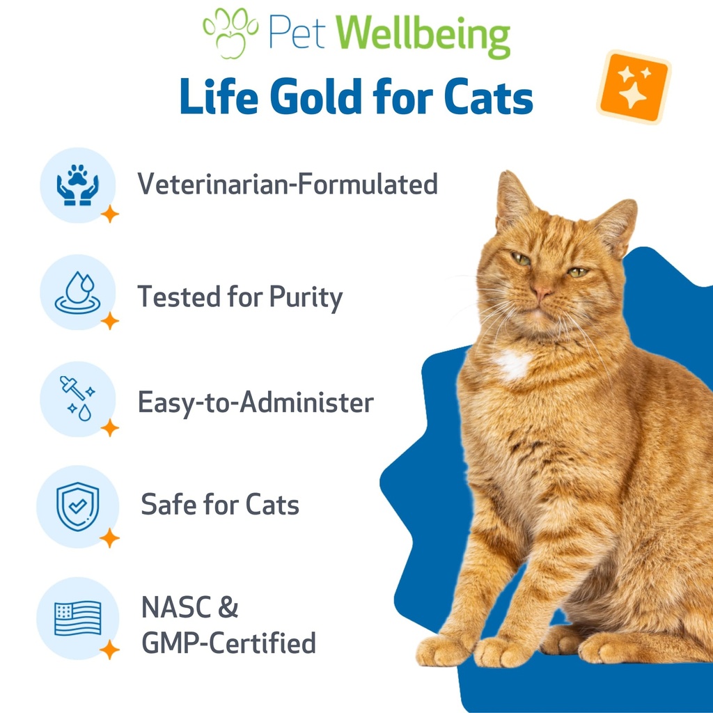 pet-wellbeing-life-gold-for-cats-support-6.jpg