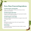 pure-synergy-vita-min-balance-multivitam-5.jpg