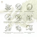 premium-organic-moringa-oleifera-leaf-po-6.jpg