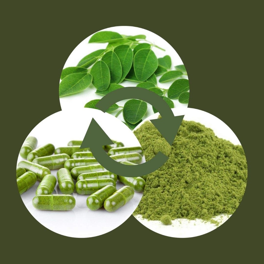 premium-organic-moringa-oleifera-leaf-po-4.jpg