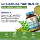 terranics-moringa-capsules-pure-moringa--5.jpg