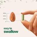 moringa-oleifera-extract-700mg-per-servi-3.jpg