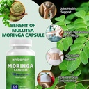 moringa-oleifera-extract-700mg-per-servi-2.jpg