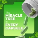 moringa-capsules-800mg-pure-moringa-powd-2.jpg