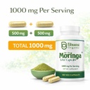moringa-powder-capsules-with-rich-moring-5.jpg