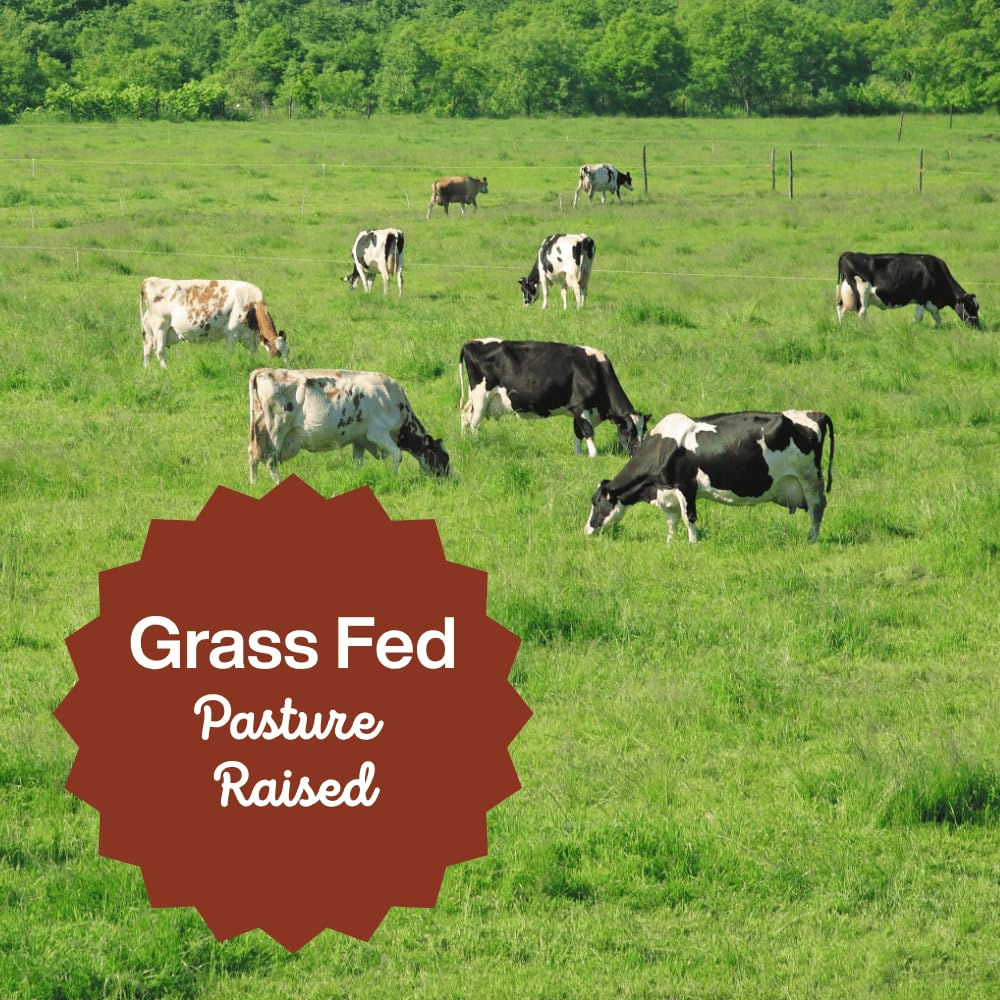 100-grass-fed-bone-broth-collagen-powder-6.jpg