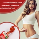 apple-cider-vinegar-gummies-metabolism-g-4.jpg