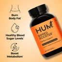 hum-ripped-rooster-natural-green-tea-ext-2.jpg