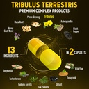 zolotus-13in1-tribulus-terrestris-capsul-5.jpg
