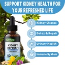 kidney-cleanse-drops-with-astragalus-cha-2.jpg