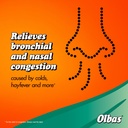 olbas-twin-inhaler-2x695mg-5.jpg