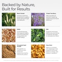 livingood-daily-women-s-hormone-support--3.jpg