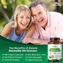 zazzee-extra-strength-boswellia-10-1-ext-2.jpg