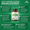 zazzee-extra-strength-boswellia-10-1-ext-6.jpg