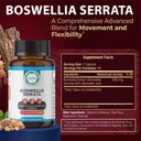 boswellia-serrata-600mg-65-boswellic-aci-5.jpg