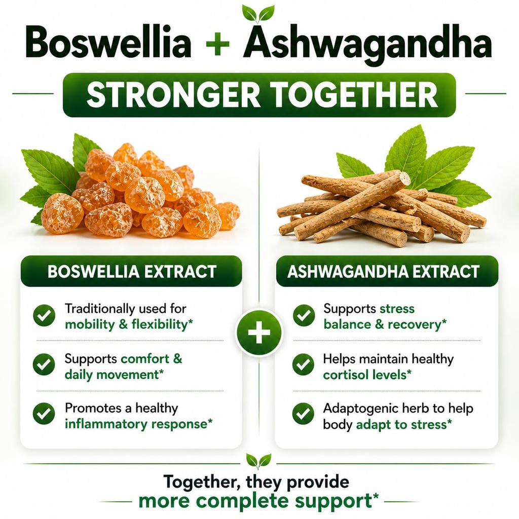 boswellia-extract-65-boswellic-acid-and--6.jpg