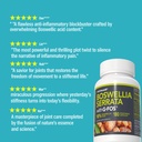 nanowell-boswellia-serrata-with-g-fos-98-2.jpg