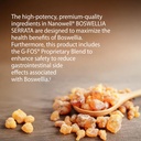 nanowell-boswellia-serrata-with-g-fos-98-6.jpg